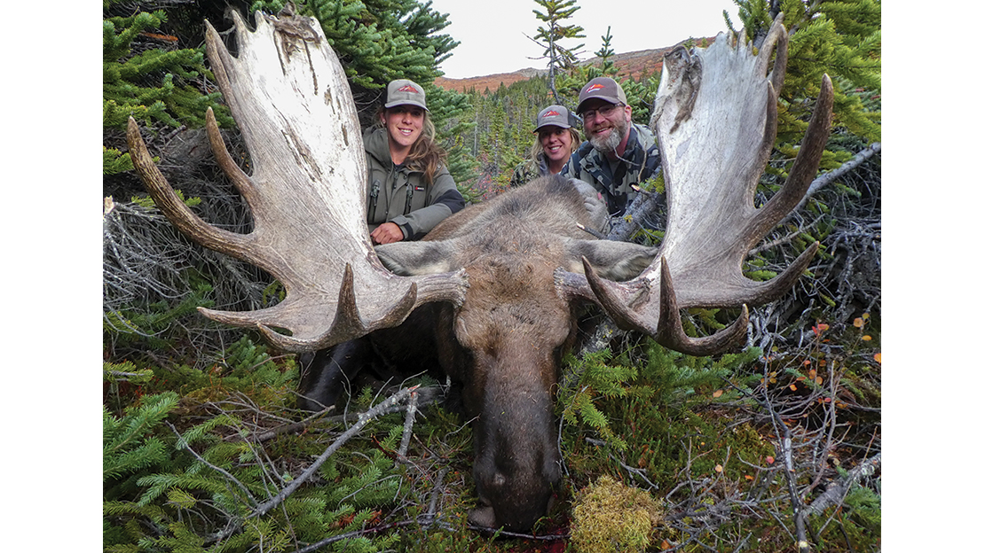 The initial attraction to the Canadian tundra: big bull moose.