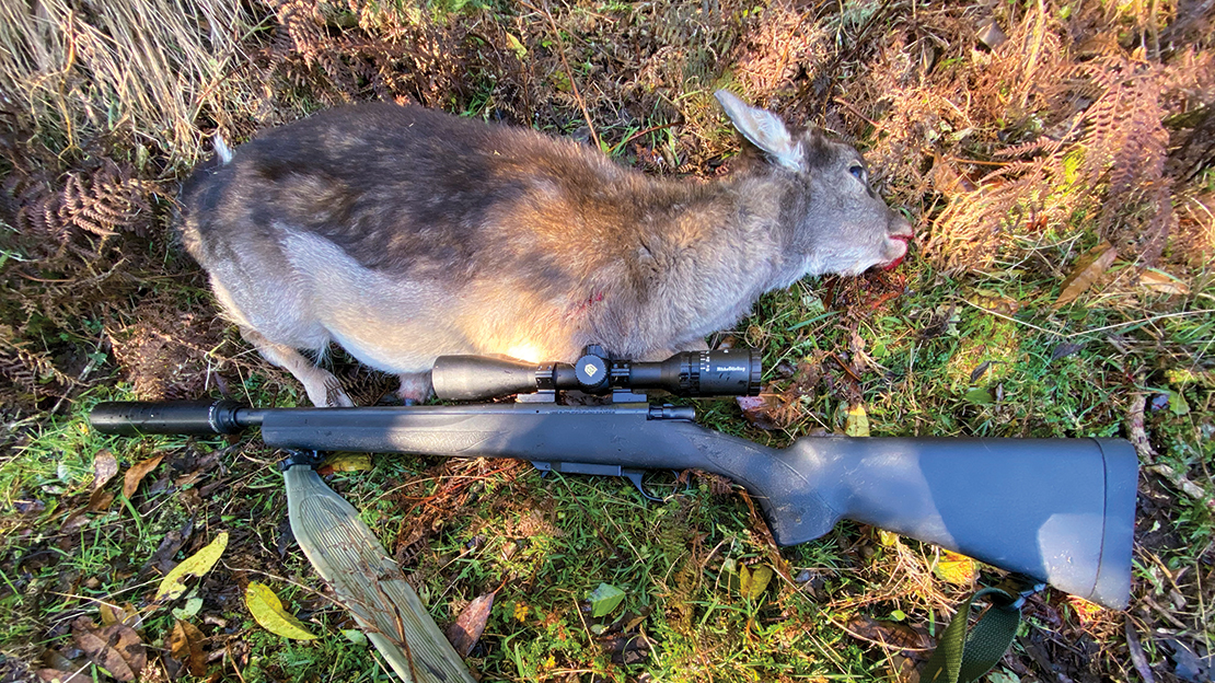 The young fallow buck taken with the SSA 220gr Subsonic ammo.