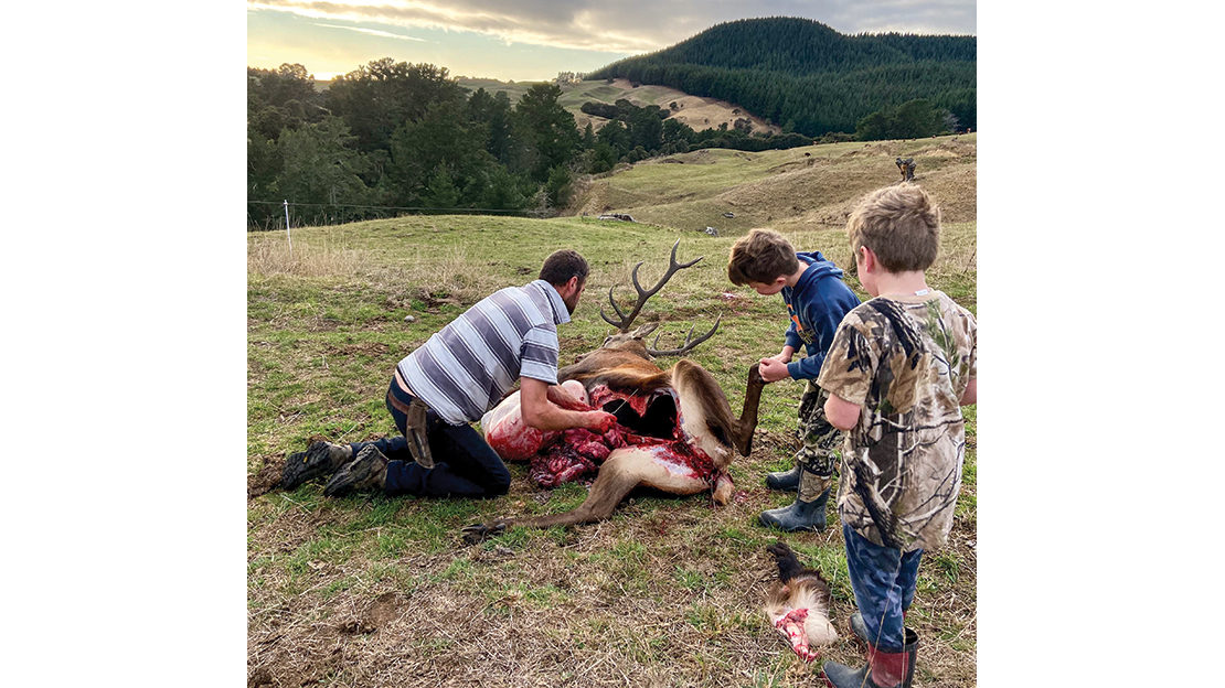 The boys took a keen interest in the red stag.