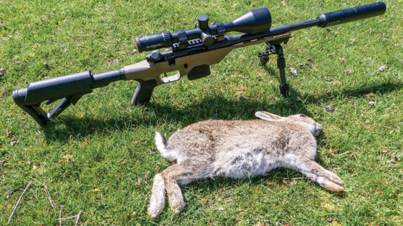 The Mossberg MVP rifle and Athlon scope combination proved to be very effective in the field.