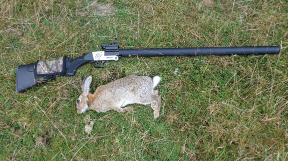 One of several rabbits to fall victim to the suppressed outfit.