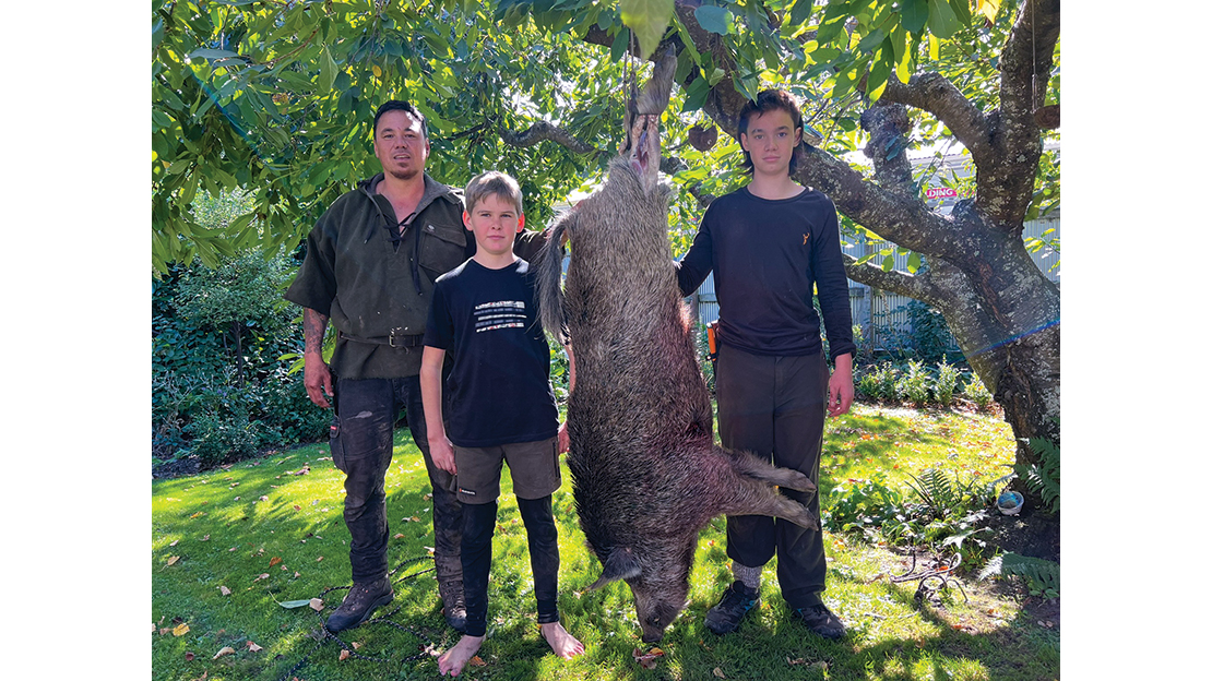 The ‘hanging from a tree’ method has served us all well over the years. Here, Hooky and Tahu Walker and Joe Cameron show off their cracking boar. That branch is working hard!