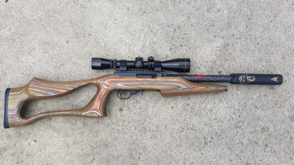 The finished product – my customised Ruger 10/22.