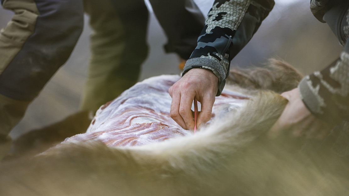 Precision during the skinning process.