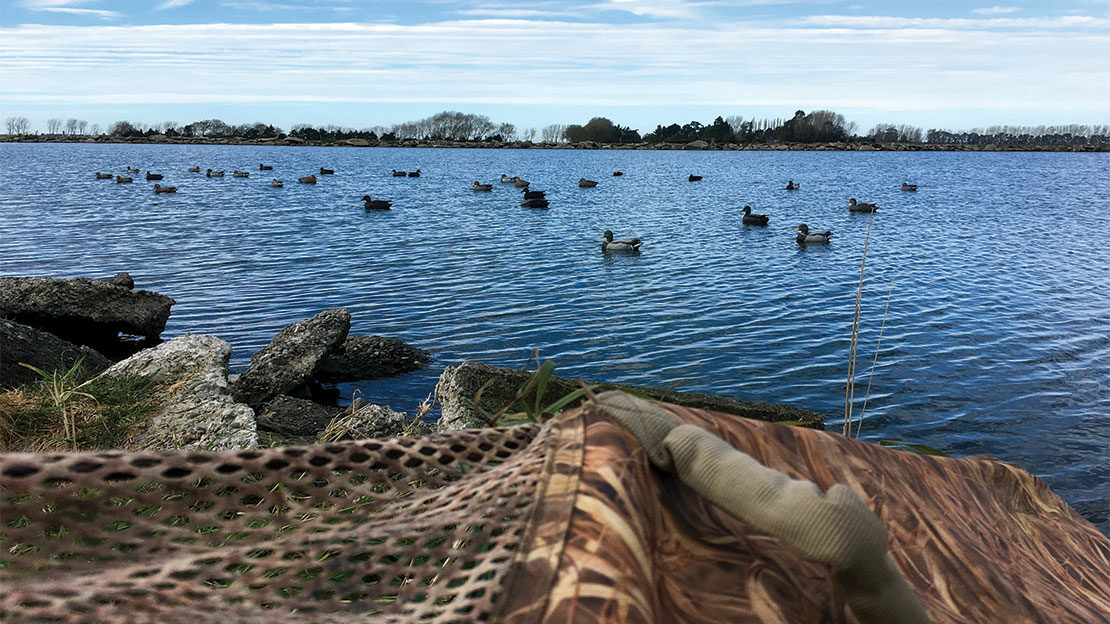 A view from the blind, opening weekend 2018.