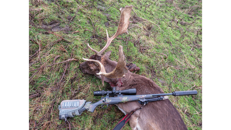 This fat buck was a big haul out of the gully – I was thankful for such a lightweight rifle on the carry out.