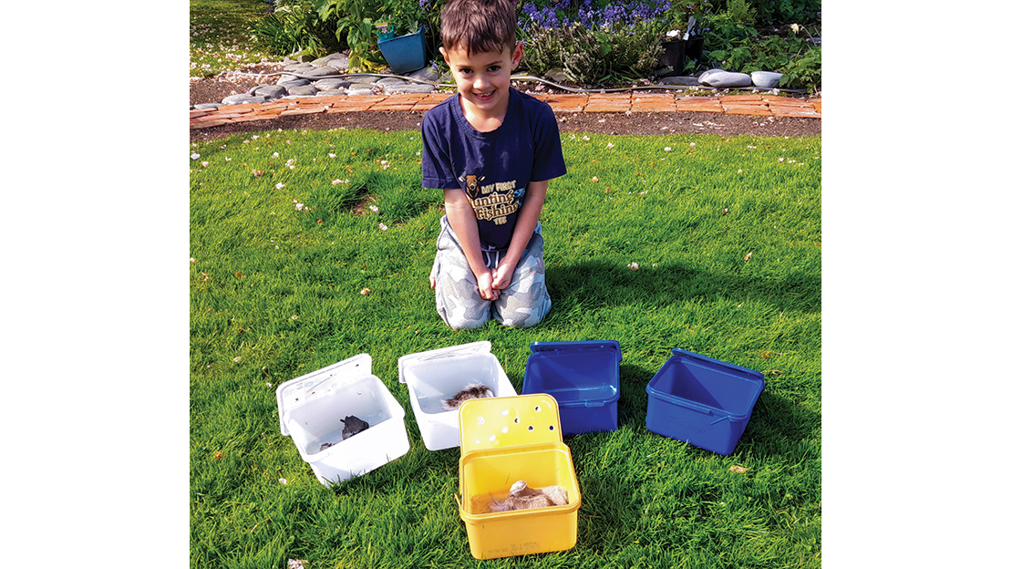 Bowen Benfell with the odour containers. Mini’s nemeses – hare poo, sheep poo, hare skin, blood and bone – are all represented, along with her target odour in the golden container, fallow skin.