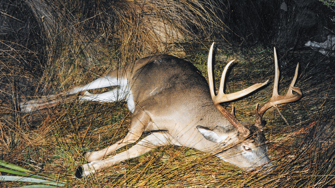 John Delury’s best Stewart Island white-tailed deer – a 7-year-old buck with a Douglas score of 166. Photo: John Delury