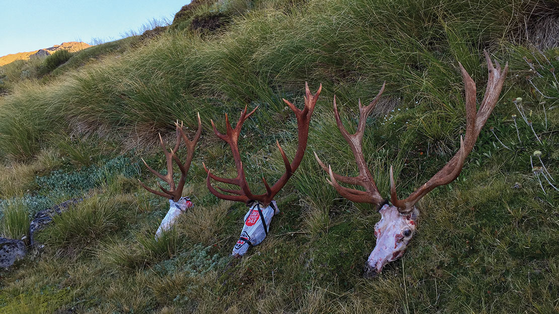 All three stags on the final night.