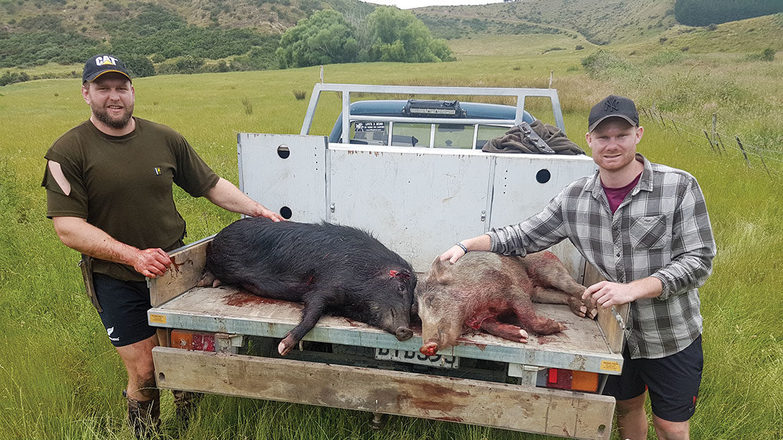 Joe Moody and Mitchell Drummond with a couple of pigs.